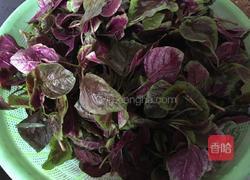 菜籽油清炒红觅菜的做法图解1