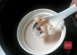 牛奶炖花胶的做法图解8