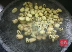 蚕豆煲的做法图解2