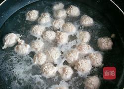 瘦肉丸的做法图解5