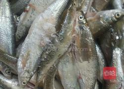 红烧刁子鱼的做法图解2