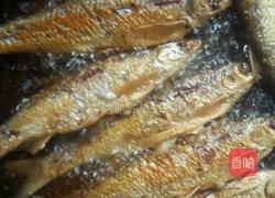 红烧刁子鱼的做法图解4