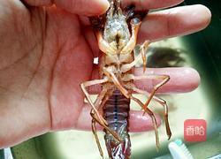 十三香龙虾的做法图解1