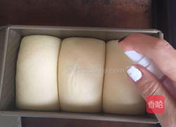 北海道面包的做法图解11