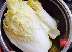 韩国辣白菜的做法图解1