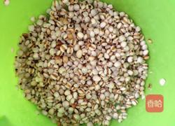 薏米藤菜猪骨汤的做法图解1