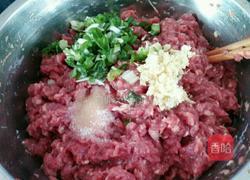 羊肉丸子的做法图解9