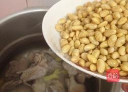 苦瓜猪骨黄豆汤的做法图解4