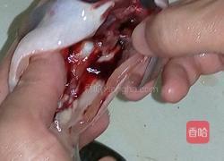 葱焖鲫鱼的做法图解1