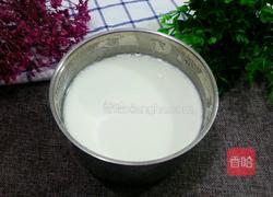 自制酸奶的做法图解8
