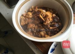 山寨版“小鸡炖蘑菇”的做法图解6