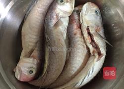 香煎马头鱼的做法图解1