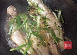 香煎马头鱼的做法图解4