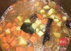 西红柿土豆胡萝卜炖牛肉的做法图解7
