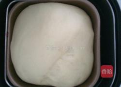 紫薯木糖醇面包的做法图解5