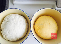 红枣南瓜馒头的做法图解4