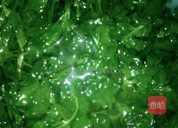 凉拌灰灰菜的做法图解4
