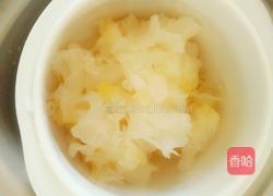 小熊电炖锅系列之枸杞银耳汤的做法图解4