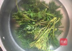 刺老芽炒鸡蛋的做法图解2