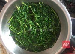 刺老芽炒鸡蛋的做法图解3