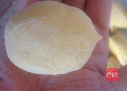 南瓜刺猬包的做法图解5