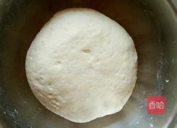 猪肉圆葱馅饼的做法图解5