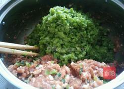 翡翠芸豆肉饺子的做法图解2