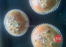 咕咕霍夫面包的做法图解16