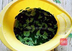 花椒叶煎饼的做法图解2