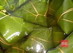 鲜肉粽的做法图解11