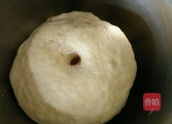 苏打饼干的做法图解6