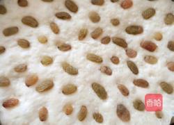 双色发糕的做法图解4