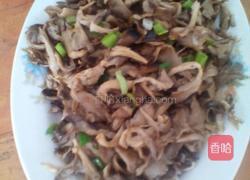 家常蘑菇的做法图解4