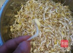 发绿豆芽的做法图解8
