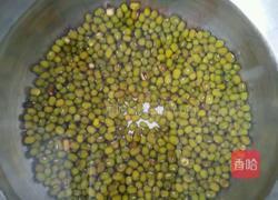 发绿豆芽的做法图解1