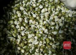 发绿豆芽的做法图解7