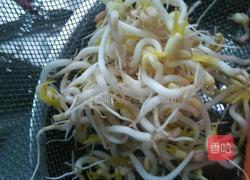 发绿豆芽的做法图解9
