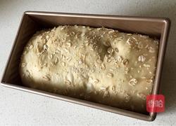 双色面包抹茶味的做法图解12