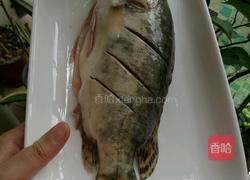 清蒸桂花鱼的做法图解2