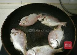 香煎红立鱼的做法图解4