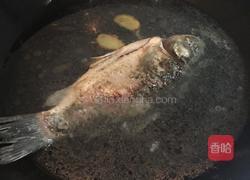 鲫鱼滚冬瓜汤的做法图解3