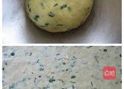 苏打饼干的做法图解3