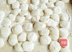 白菜水饺的做法图解3