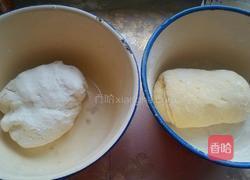 南瓜双色馒头的做法图解3