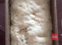 葡萄干吐司的做法图解5