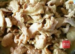 木耳肉片的做法图解3