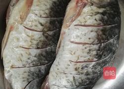 鲜虾鲫鱼冬瓜汤的做法图解1