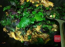 紫苏鸭的做法图解5