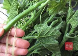 炒南瓜尖的做法图解1