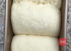 酸奶面包的做法图解6